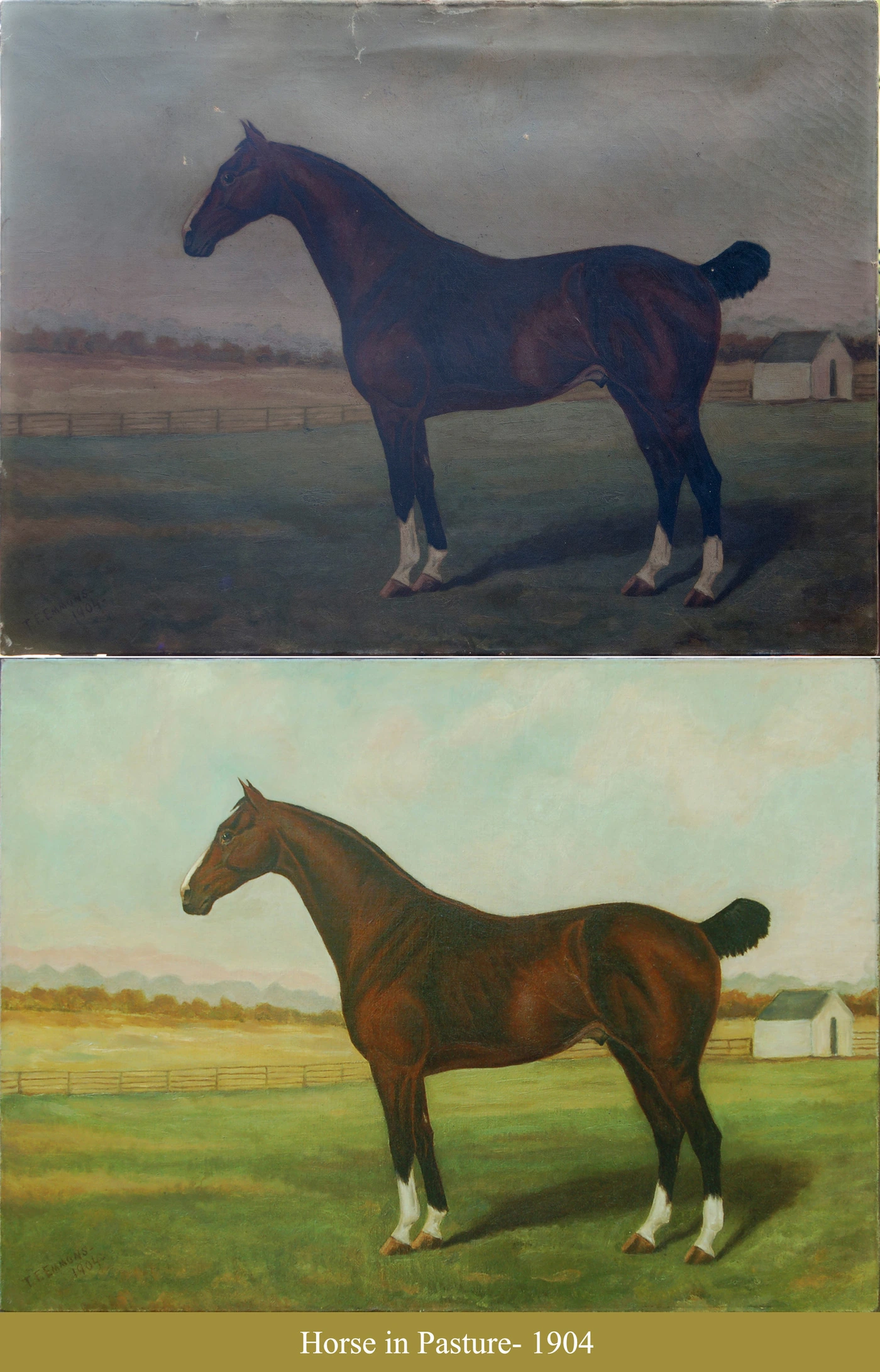 Fadely- Horse in Pasture- B4 & FIN.jpg