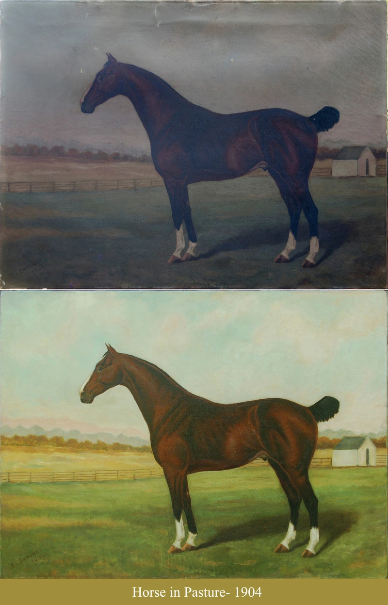 Fadely- Horse in Pasture- B4 & FIN.jpg